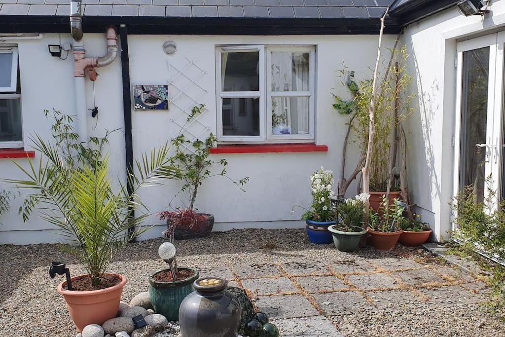 Cosy Self Contained Cottage With Stunning Views Killaloe Exterior photo
